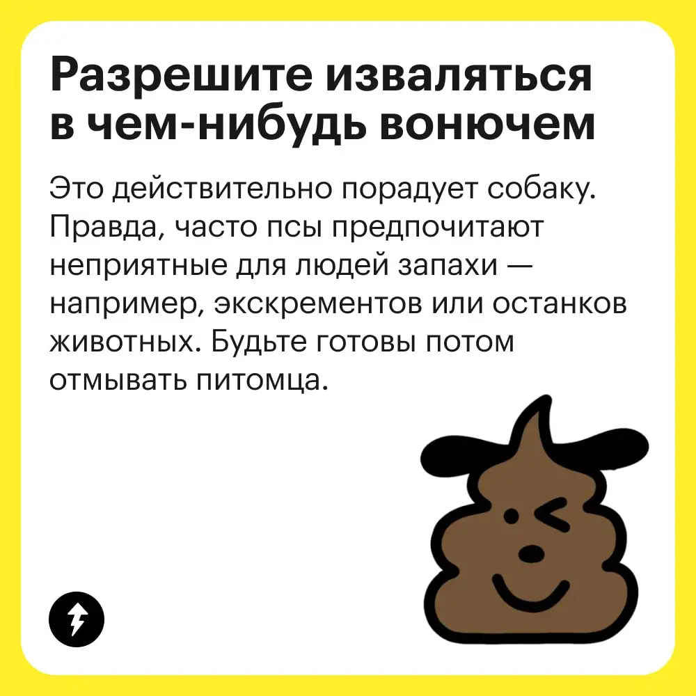 🐶 Разрешить собаке быть собакой — лучшее, что может сделать хозяин для своего любимца | Сетка — социальная сеть от hh.ru