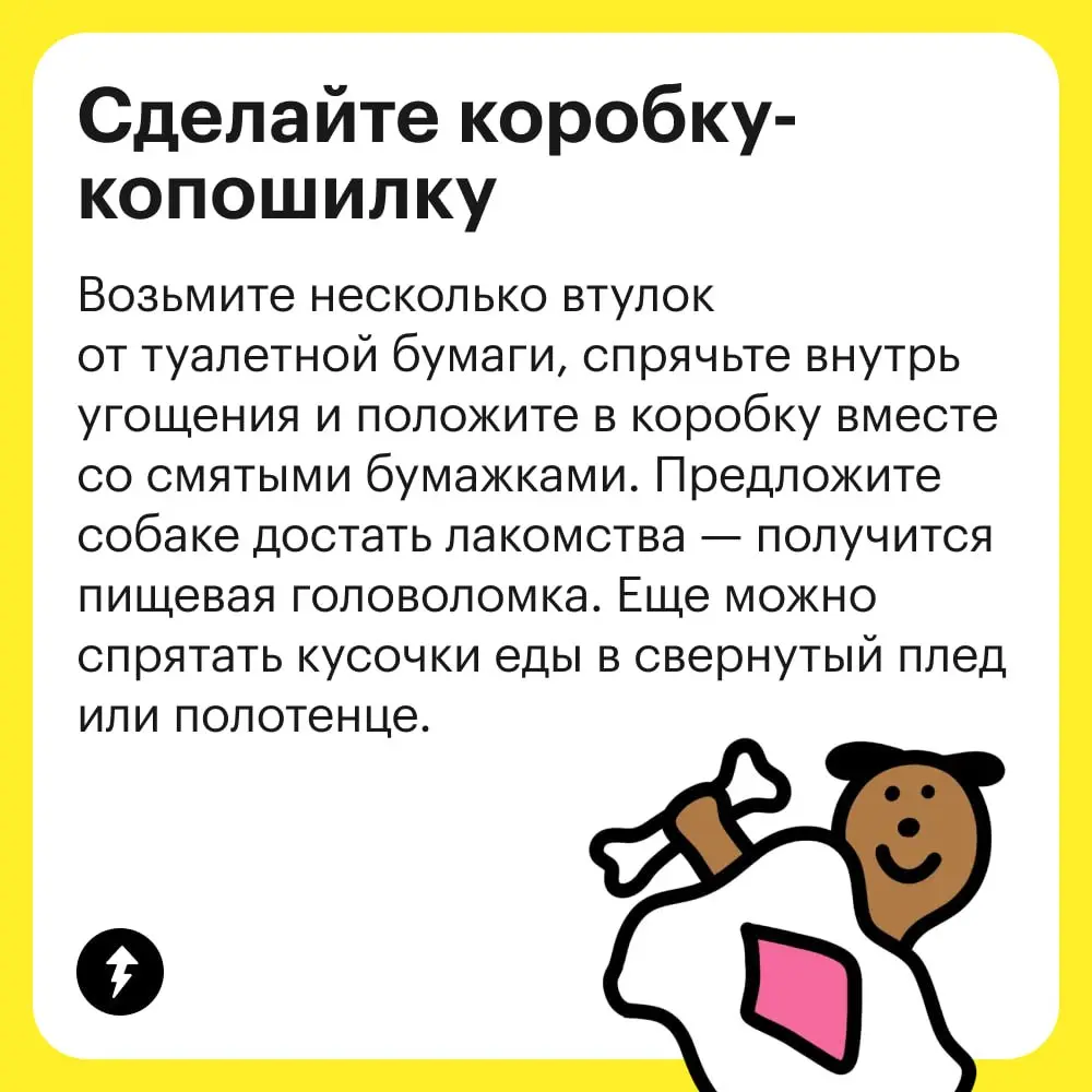 🐶 Разрешить собаке быть собакой — лучшее, что может сделать хозяин для своего любимца | Сетка — социальная сеть от hh.ru