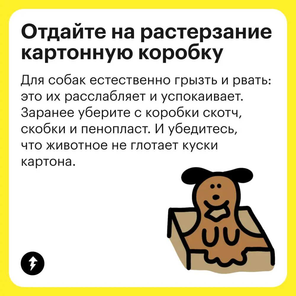 🐶 Разрешить собаке быть собакой — лучшее, что может сделать хозяин для своего любимца | Сетка — социальная сеть от hh.ru