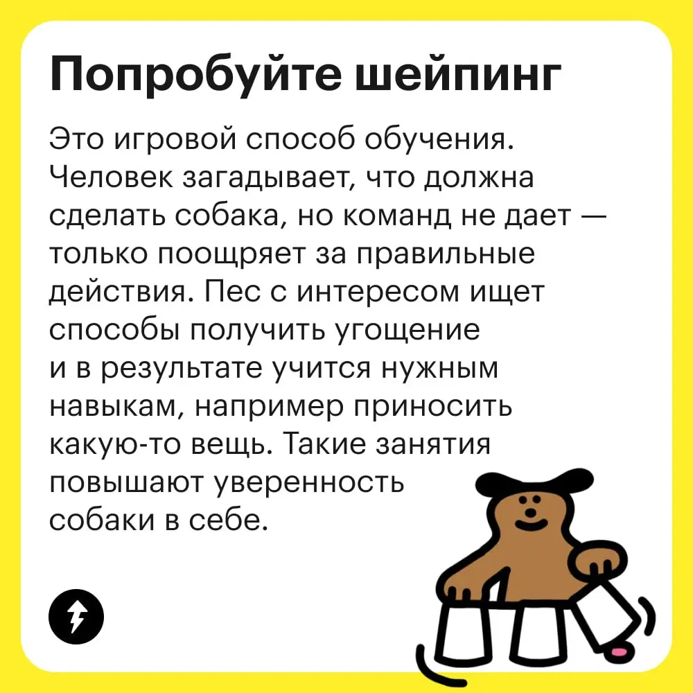 🐶 Разрешить собаке быть собакой — лучшее, что может сделать хозяин для своего любимца | Сетка — социальная сеть от hh.ru