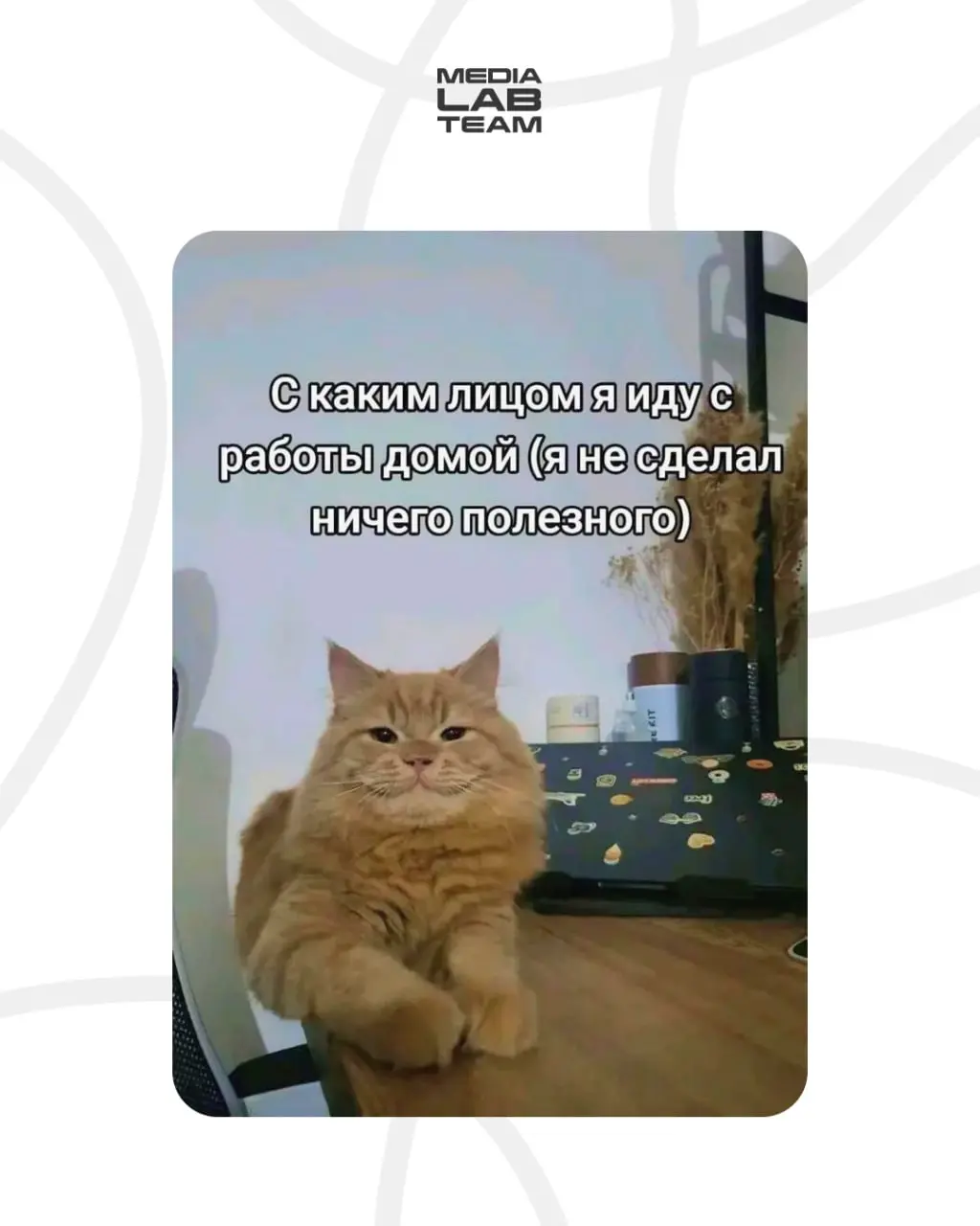 Коллеги, у кого также? 😅
А вообще поделитесь в каментах своими результатами и достижениями за эту неделю 🙃
〰〰〰〰〰〰〰〰〰〰[🤍
В этом посте были ссылки, но мы их удалили по правилам Сетки](
Лаборатория медиа... | Сетка — социальная сеть от hh.ru