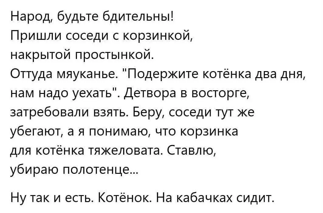 Тема не отпускает 😂😂😂
#Юмор@poldner #Коты@poldner | Сетка — социальная сеть от hh.ru
