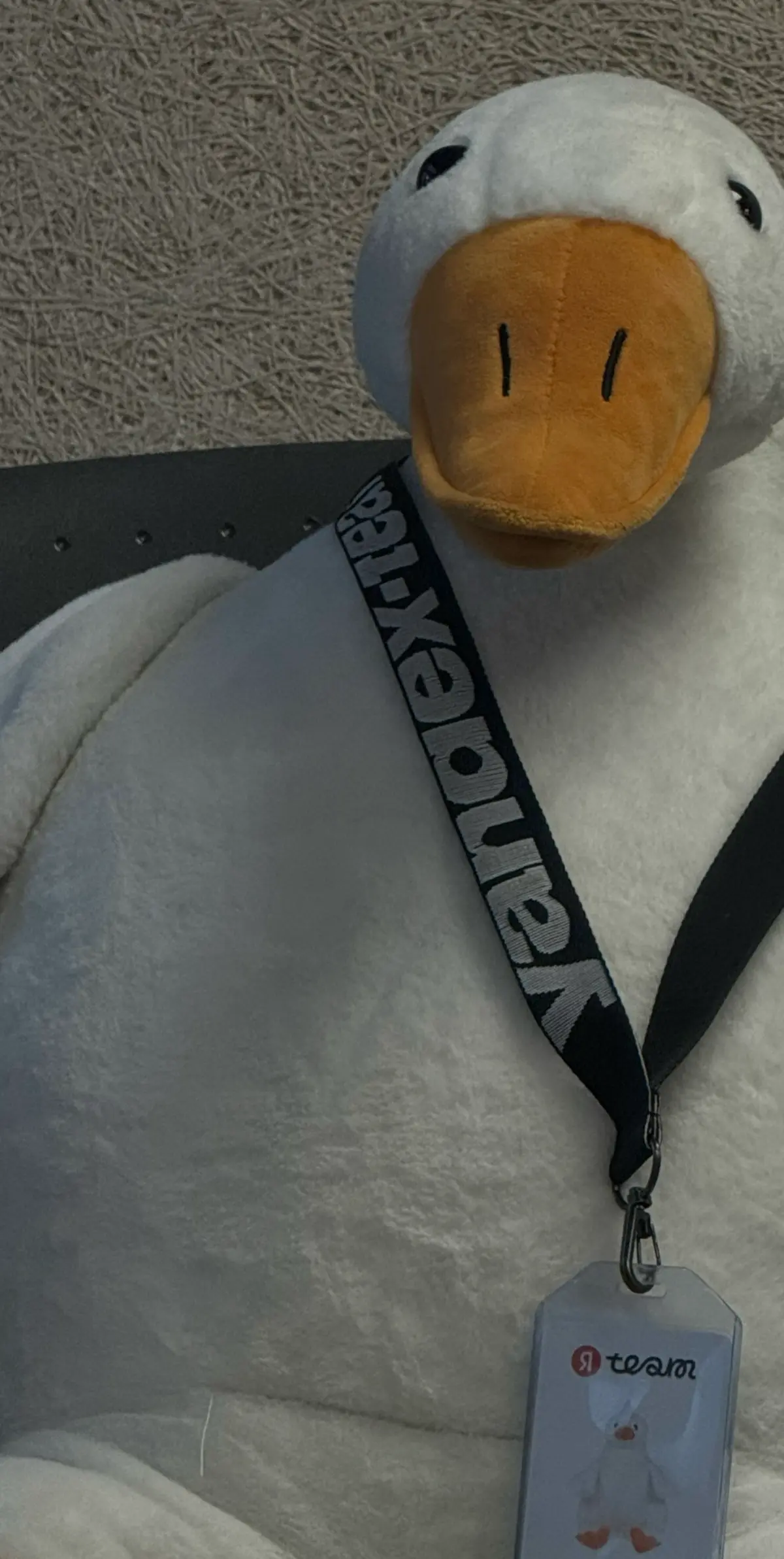 Рынок изменился быстрее, чем многие успели перестроиться. | Сетка — социальная сеть от hh.ru