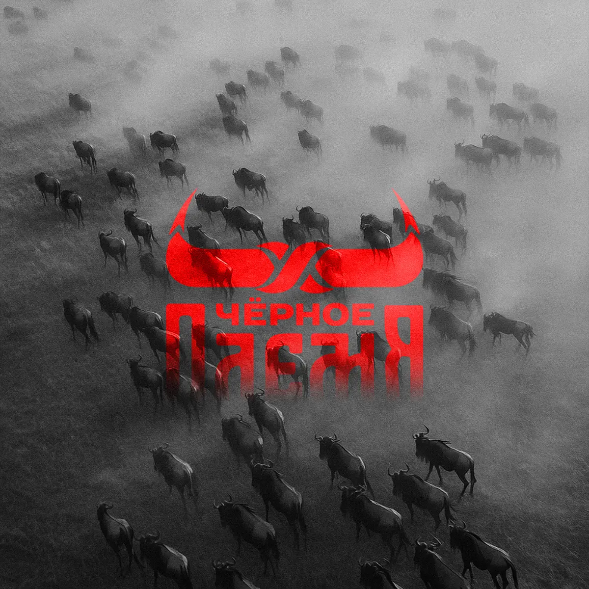 Из какого вы племени? Знак для мясного бренда. | Сетка — социальная сеть от hh.ru