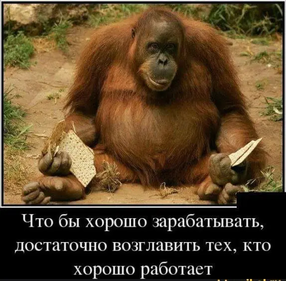Казалось бы, всё просто... 😁 | Сетка — социальная сеть от hh.ru