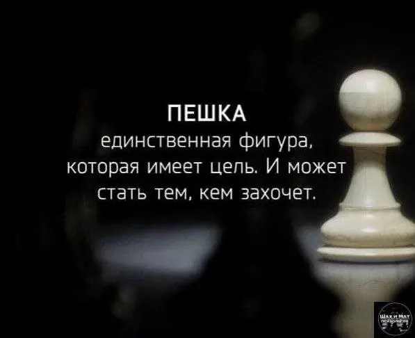 @statusday | Сетка — социальная сеть от hh.ru