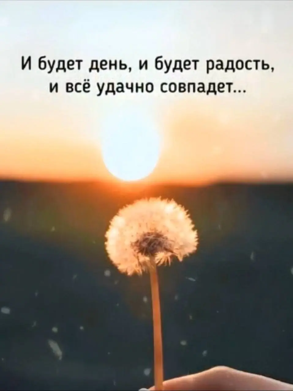 Сегодня была приглашена на день открытых дверей сетевой компании, ранее о ней не слышала, интересно было посмотреть со стороны, зная «изнанку» | Сетка — социальная сеть от hh.ru