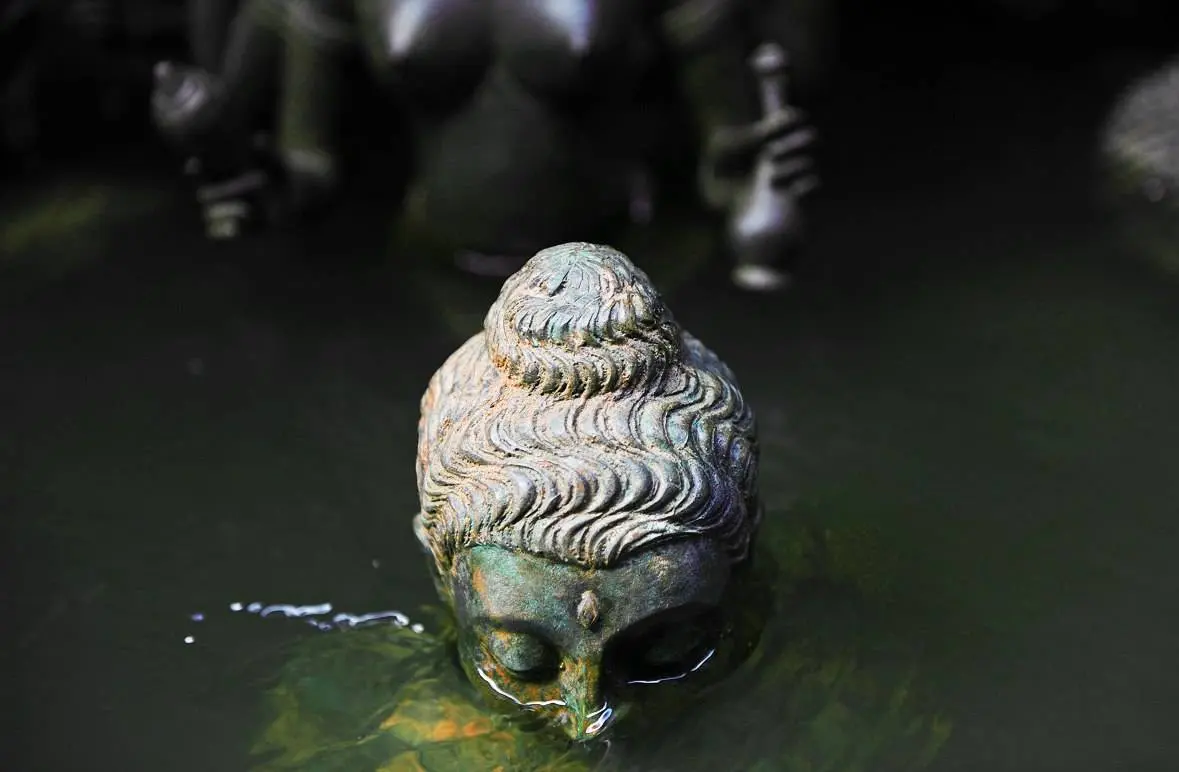 Никита Шаклеин