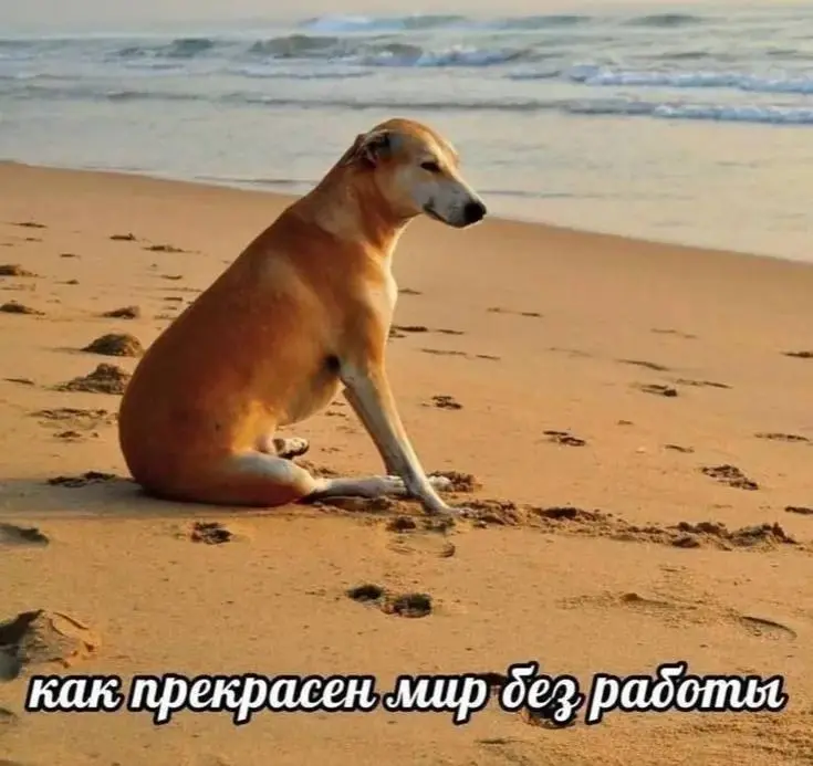 Это я перестала беспокоиться по рабочим вопросам
Учусь отдыхать )) | Сетка — социальная сеть от hh.ru