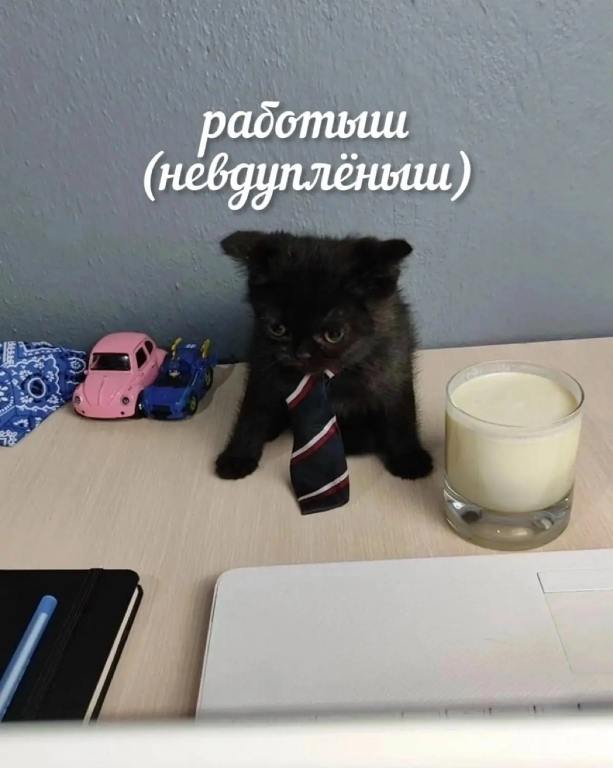 Короткие заметки рабочего дня 🤝 | Сетка — социальная сеть от hh.ru
