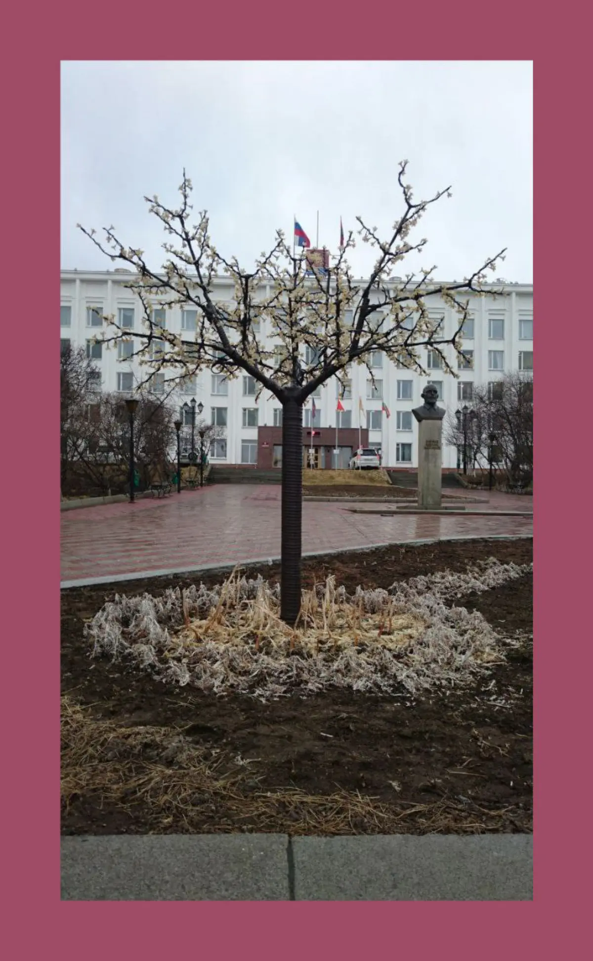 Рядом / Near | Сетка — социальная сеть от hh.ru