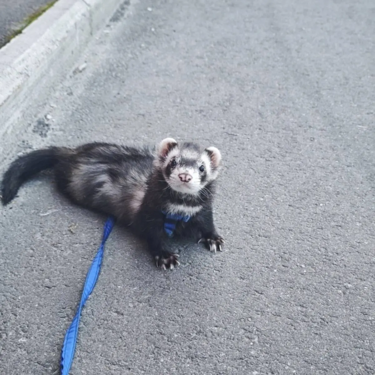 Денис Кащеев | Сетка — социальная сеть от hh.ru