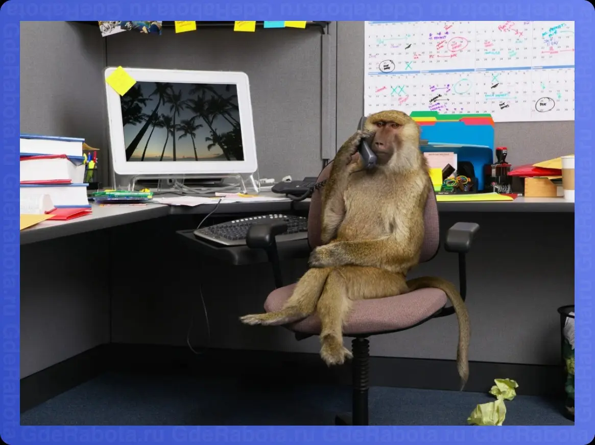 Когда впервые позвонили по вопросу из соседнего отдела, а ты не можешь придумать кому передать телефон
Вакансии -> https://gderabota.ru/вакансии
#работа #вакансии #hr #GdeRabota | Сетка — социальная сеть от hh.ru