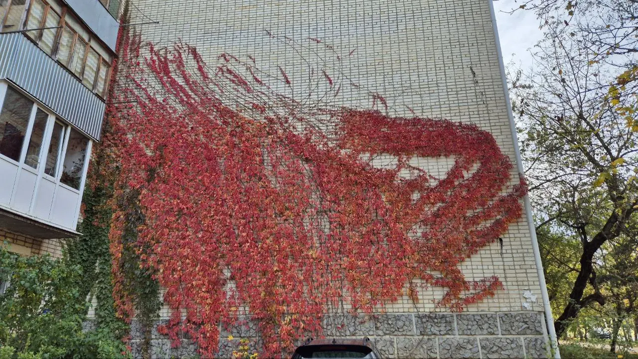 Стена на Мира 🍂 | Сетка — социальная сеть от hh.ru