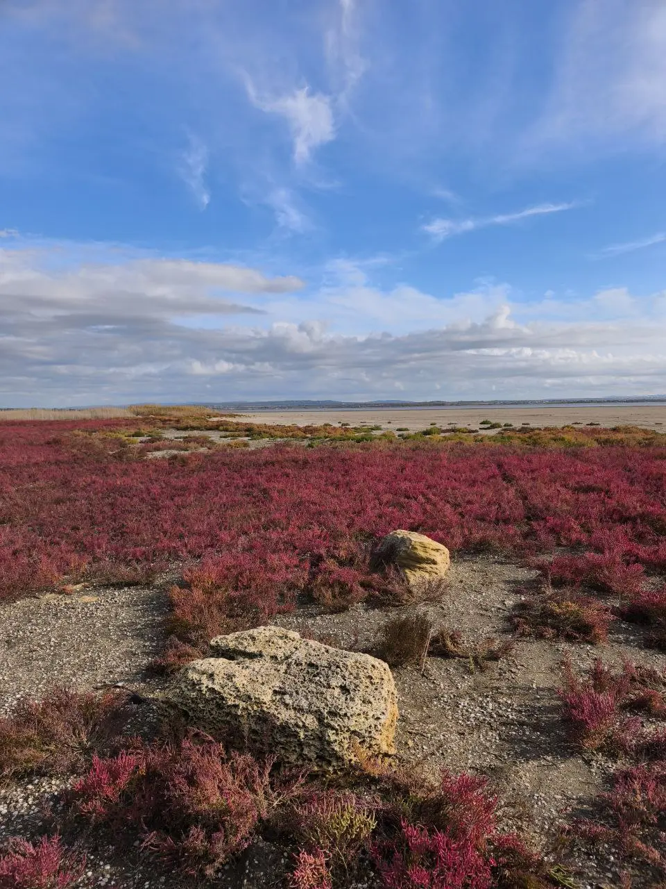 Солеросы у меня почему это ассоциируется с марсианскими пейзажами из за красного цвета.
Солеросы — настоящий природный тренд осени в Анапе | Сетка — социальная сеть от hh.ru