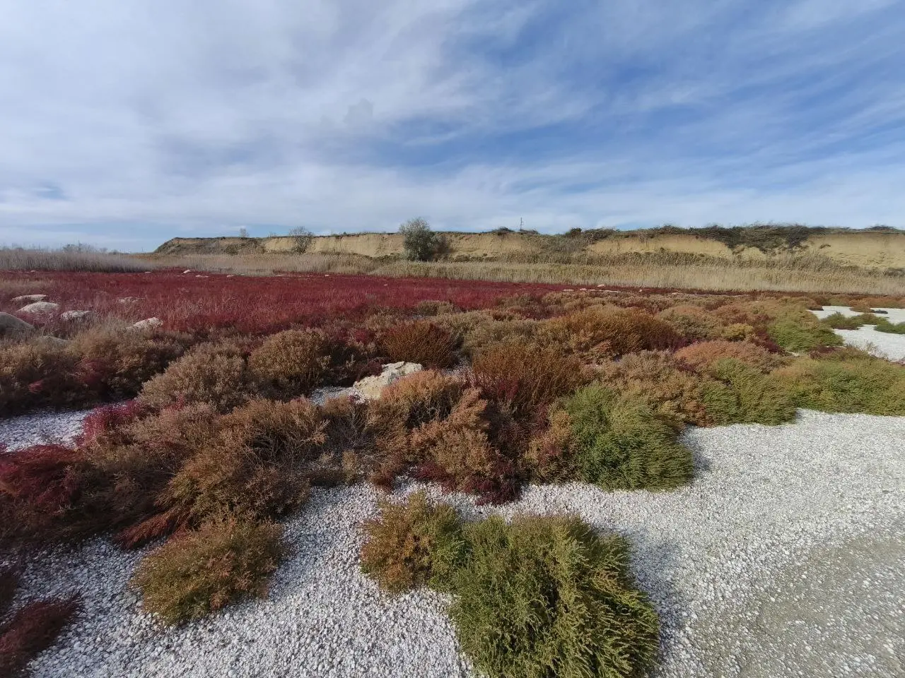 Солеросы у меня почему это ассоциируется с марсианскими пейзажами из за красного цвета.
Солеросы — настоящий природный тренд осени в Анапе | Сетка — социальная сеть от hh.ru