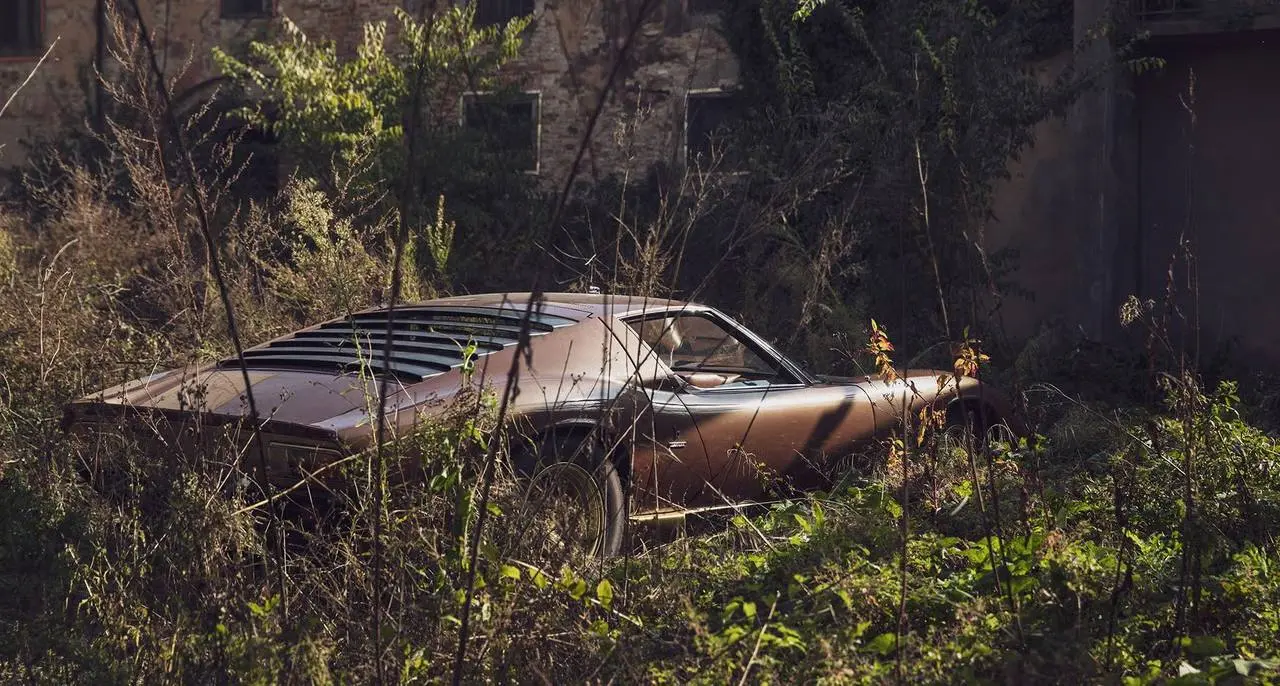 В Италии нашли редчайшую Lamborghini Miura 1972 года за амбарной стеной. В такой расцветке выпустили только два авто.
Владелец купил машину в 1975 за $11 тыс | Сетка — социальная сеть от hh.ru
