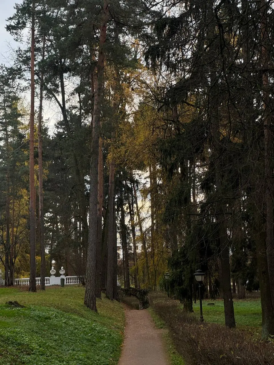 Сожалею, что за 11 лет жизни в Москве, я открыла для себя это место только в этом году 💔
Рубрика Кати
Для восполнения энергии, воскресенье снова провожу на прогулке вдали от суеты города | Сетка — социальная сеть от hh.ru