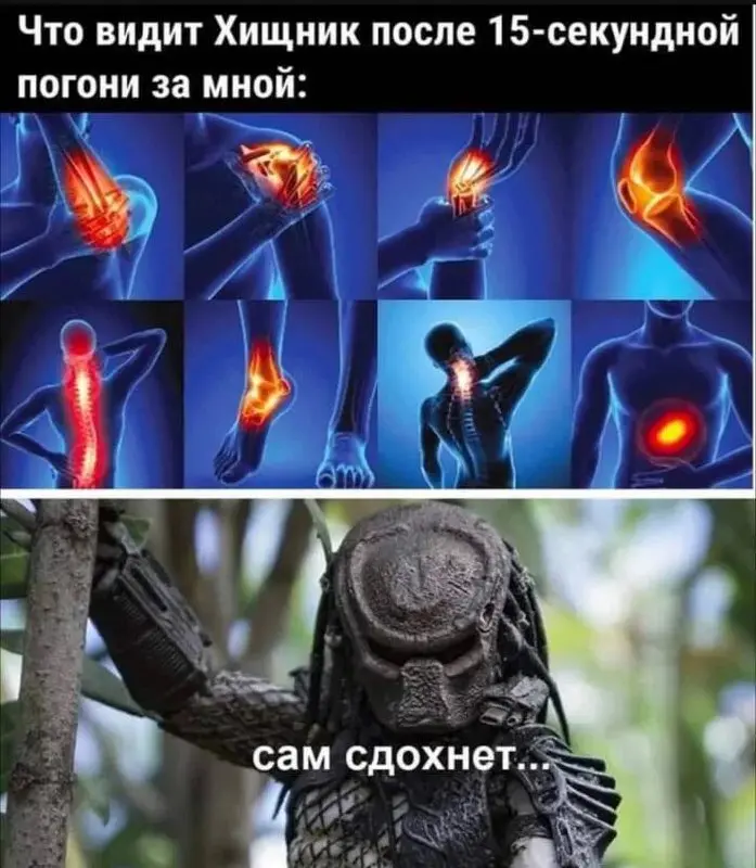 Когда просидел на удаленке три дня, плюс выходные дома, не вылезая | Сетка — социальная сеть от hh.ru
