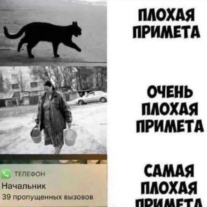 Тут хочешь не хочешь станешь суеверным 😂
#Юмор@poldner #Коты@poldner | Сетка — социальная сеть от hh.ru