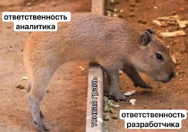 В такие минуты трудно понять, где заканчивается системный анализ и начинается … разработка 🏝️🥥
Хочу поразгонять тему разделения ответственности между системным аналитиком и разработчиком | Сетка — социальная сеть от hh.ru