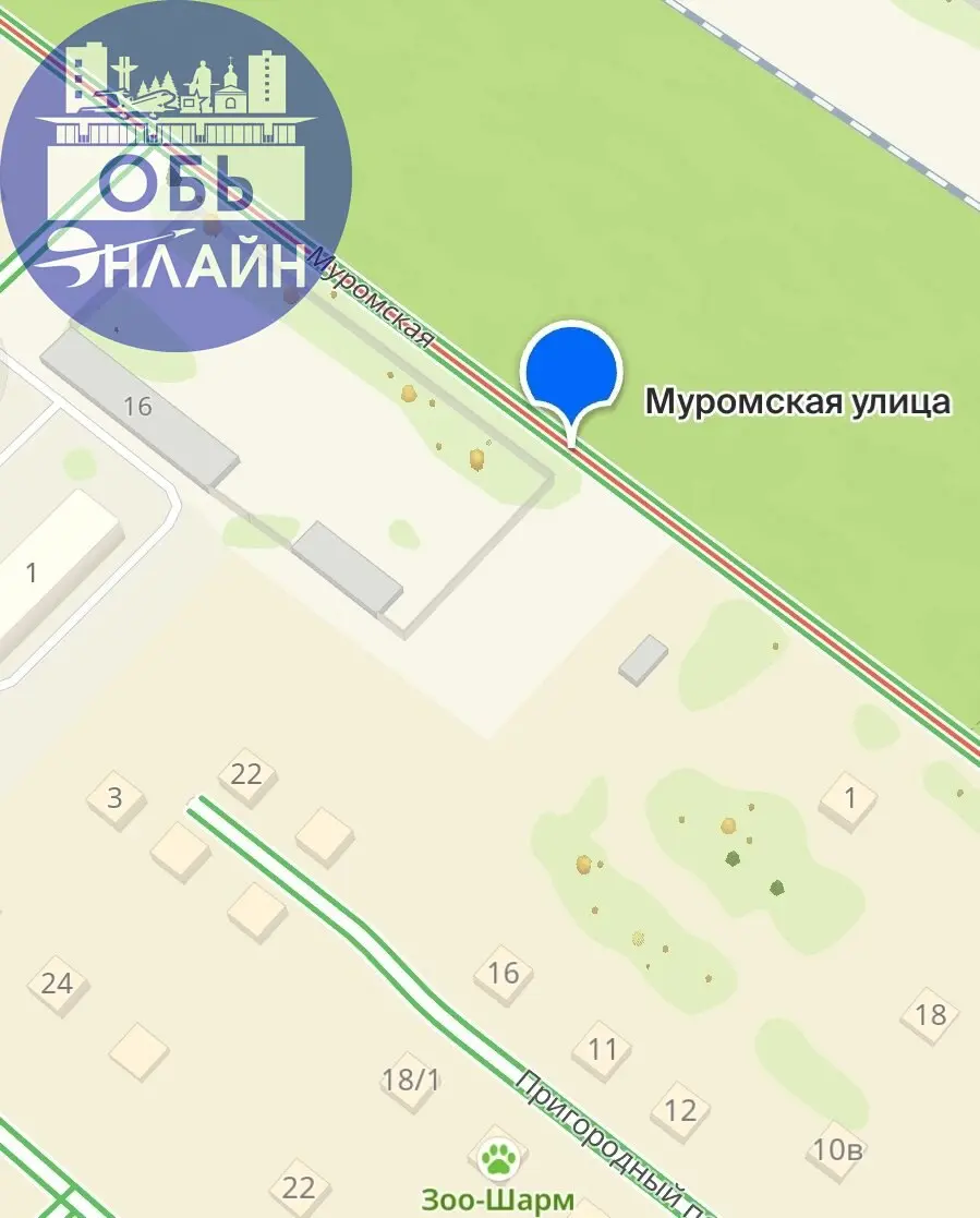 ↗ Добрый день, по дороге вдоль улицы Муромская появилась глубокая яма с водой, такое впечатление что обвалился колодец | Сетка — социальная сеть от hh.ru