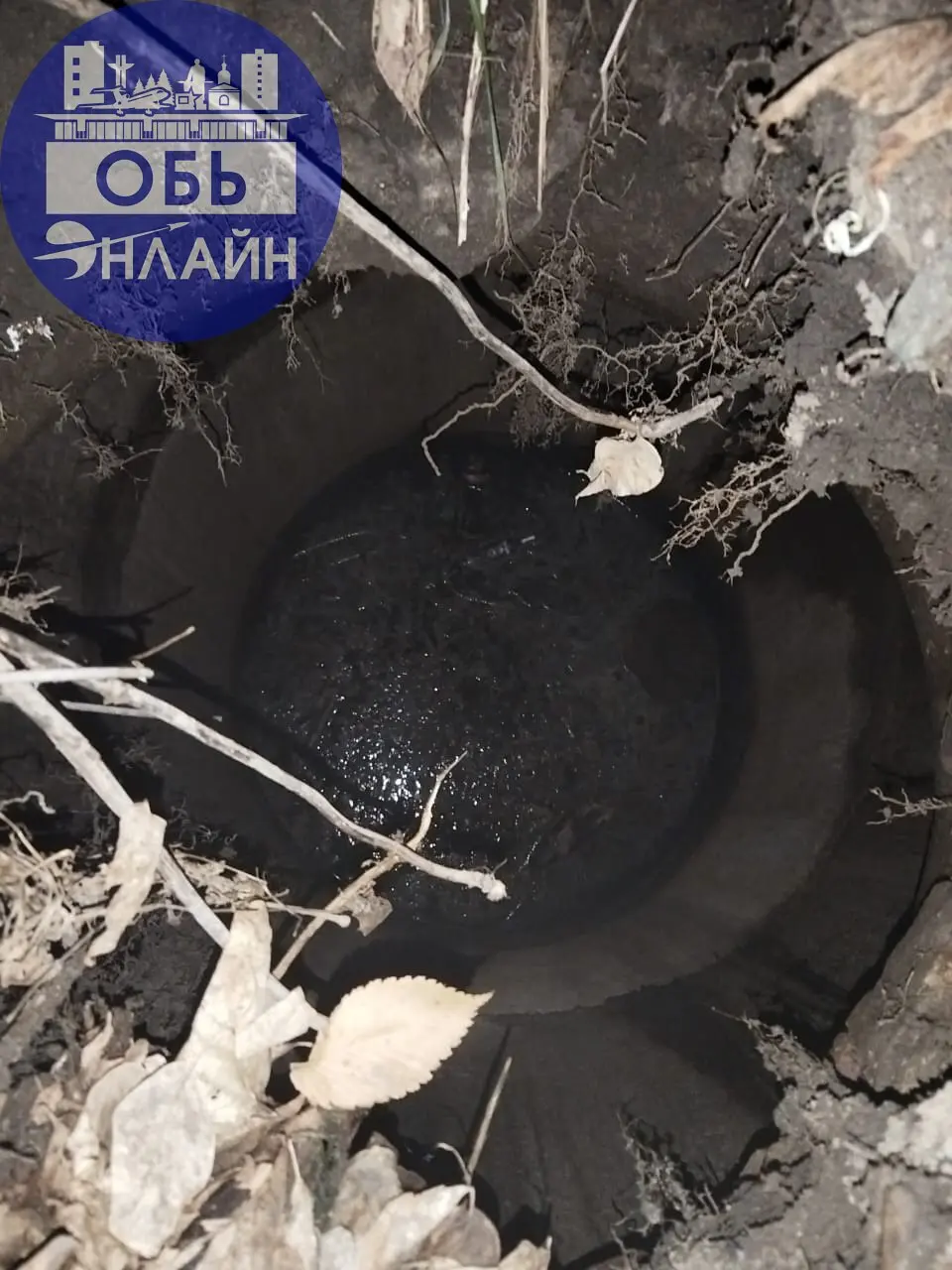 ↗ Добрый день, по дороге вдоль улицы Муромская появилась глубокая яма с водой, такое впечатление что обвалился колодец | Сетка — социальная сеть от hh.ru