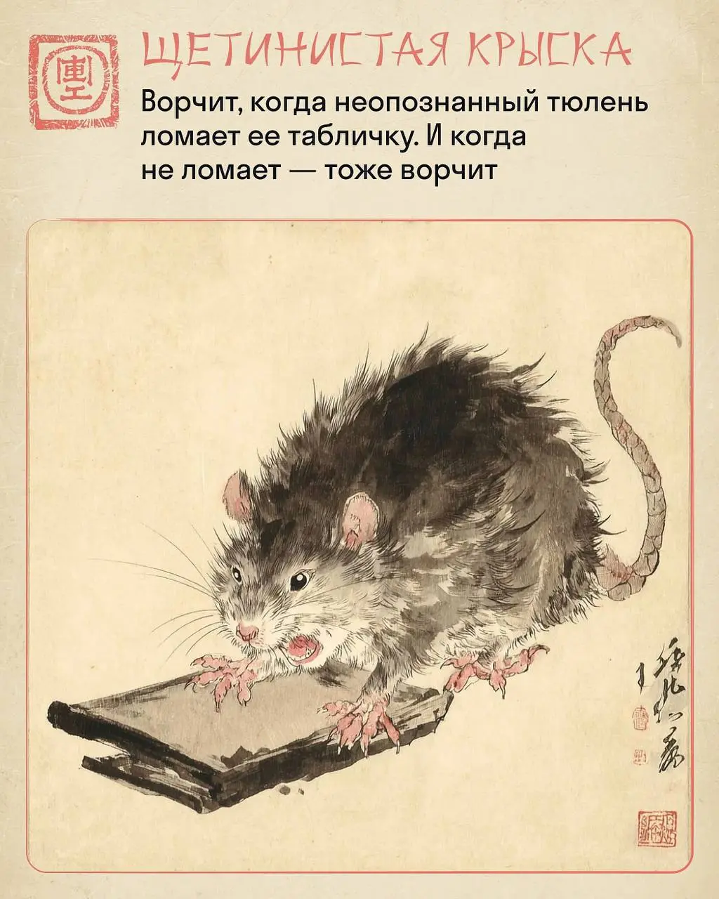 🐀 Понедельник – день тяжелый
Выбери своего бойца
ПыСы: Всем привет в этом чатике, я все еще жив, но все руки не доходят подобавлять сюда красоту и приколюхи, сначала завалило работой, потом какой-то б... | Сетка — социальная сеть от hh.ru