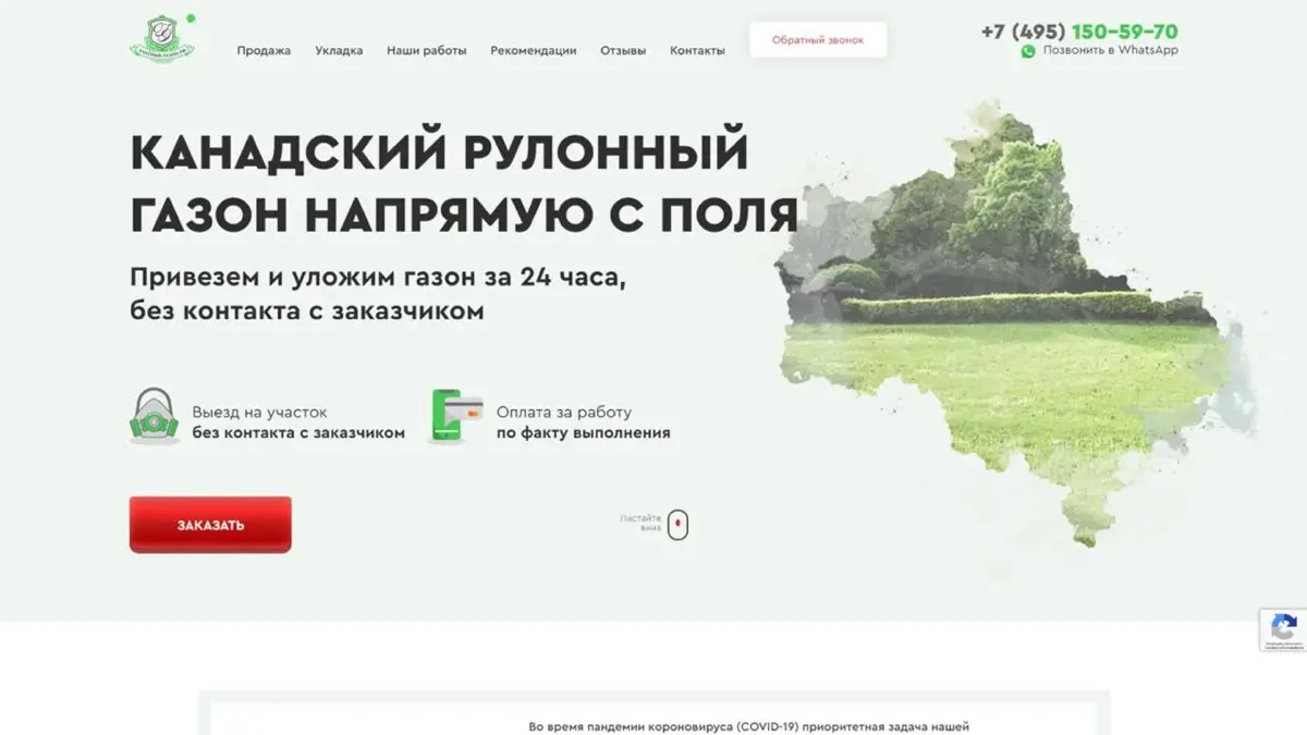 Кажется, я немного соврала в своем резюме 🫣 | Сетка — социальная сеть от hh.ru