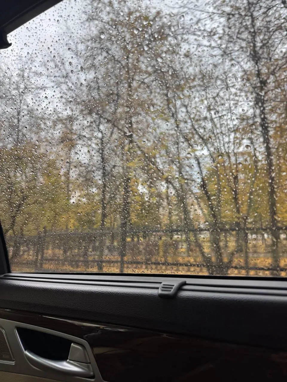 доброе-понедельничное, пипл!
За эти выходные сделала вывод, что я реально состарилась и лучший отдых для меня стал – лес, массаж и книга 🤝🏻
при этом понедельник вызывает школьное чувство тревоги, что ... | Сетка — социальная сеть от hh.ru
