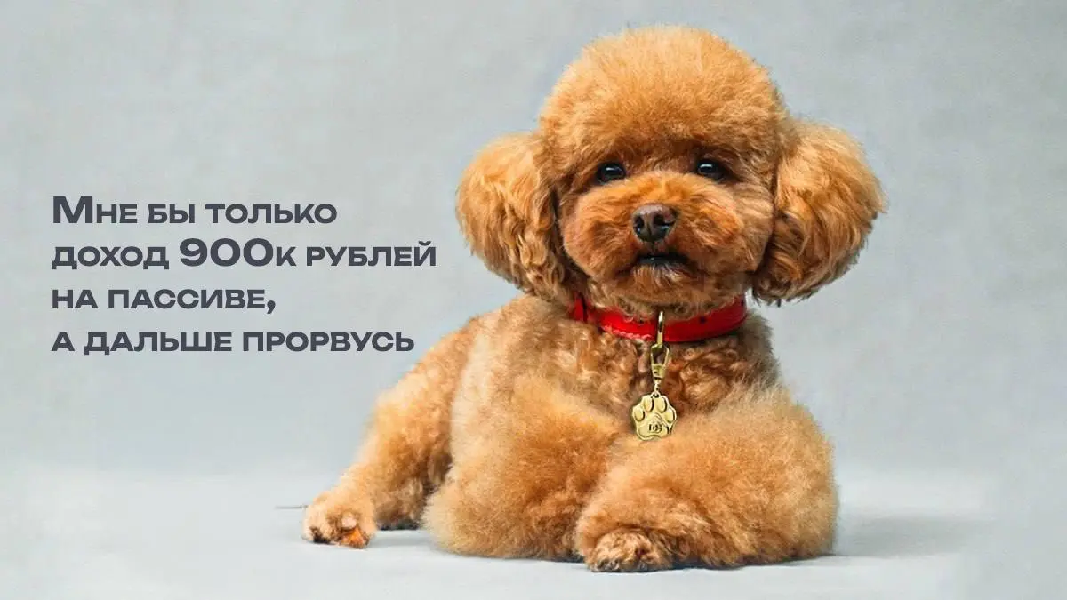 Деньги и тревожность
Мне кажется, зависимость между деньгами и тревожностью прямая, но только до определённого момента.
Когда денег мало, тревожность съедает всё | Сетка — социальная сеть от hh.ru