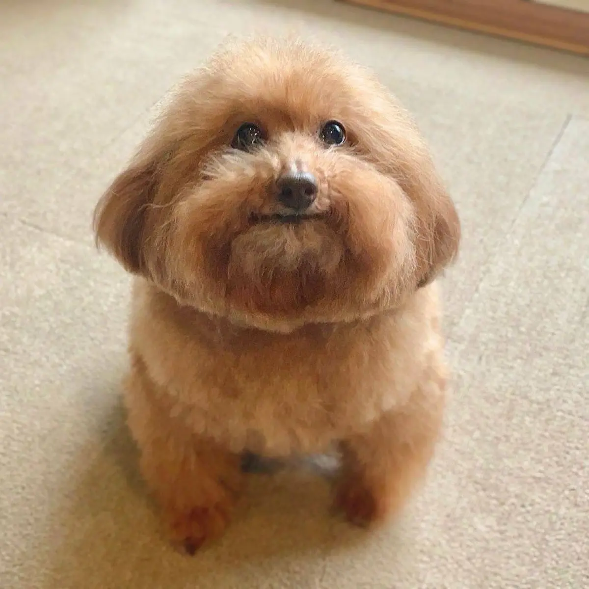 Никита Астапов | Сетка — социальная сеть от hh.ru