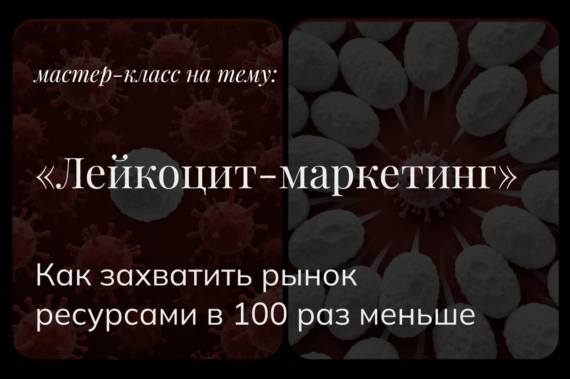 Как захватить рынок ресурсами в 100 раз меньше
— Думаешь, это реально?
После 17+ проектов и 700+ млн выручки рассказал самые последние наработки в видео мастер-классе | Сетка — социальная сеть от hh.ru