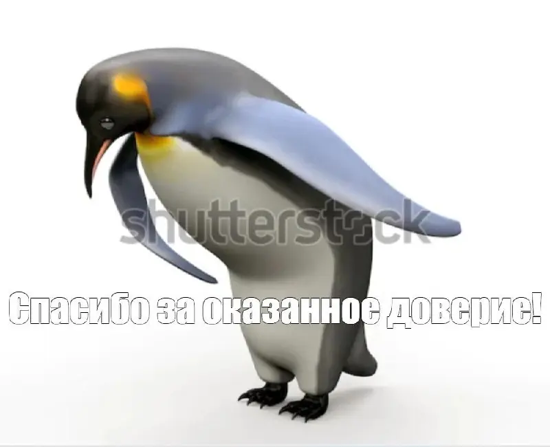 Спасибо, что вы здесь!
Привет! Хочу сказать спасибо каждому из вас — меньше чем за год канал дорос до первой тысячи подписчиков, и для меня это действительно важная веха | Сетка — социальная сеть от hh.ru