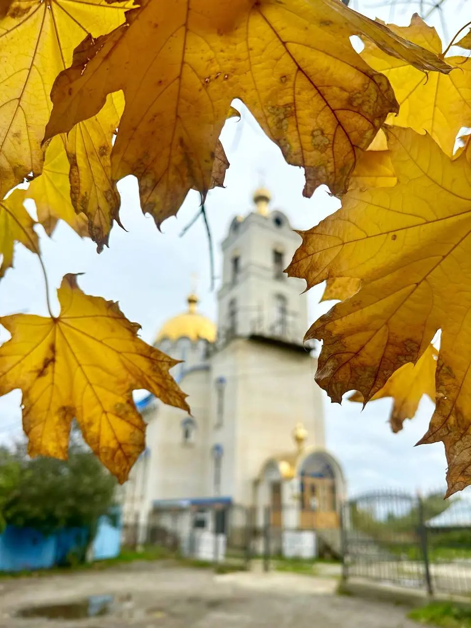 Октябрьский Ставрополь❤️
📸Natalyaphoto26stav | Сетка — социальная сеть от hh.ru