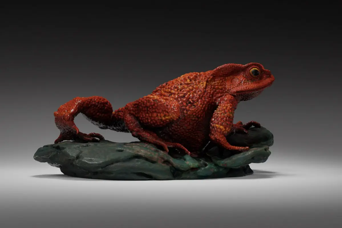 Jasper's toad | Сетка — социальная сеть от hh.ru