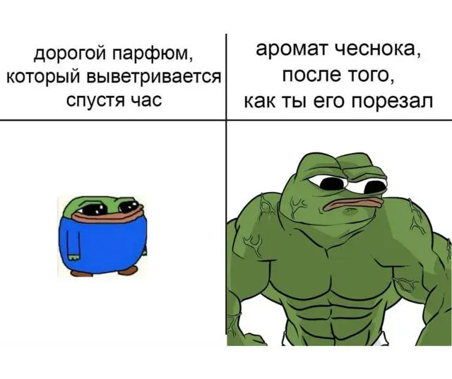А как себя ведут ваши коты? У вас же надеюсь коты?! | Сетка — социальная сеть от hh.ru