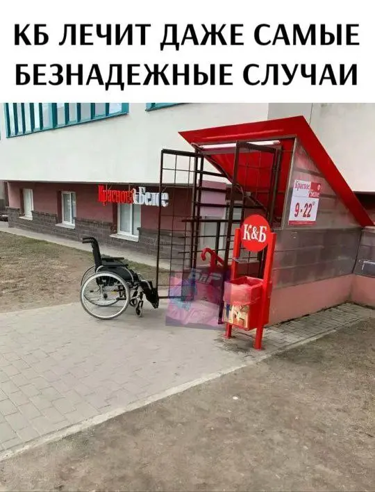 А как себя ведут ваши коты? У вас же надеюсь коты?! | Сетка — социальная сеть от hh.ru