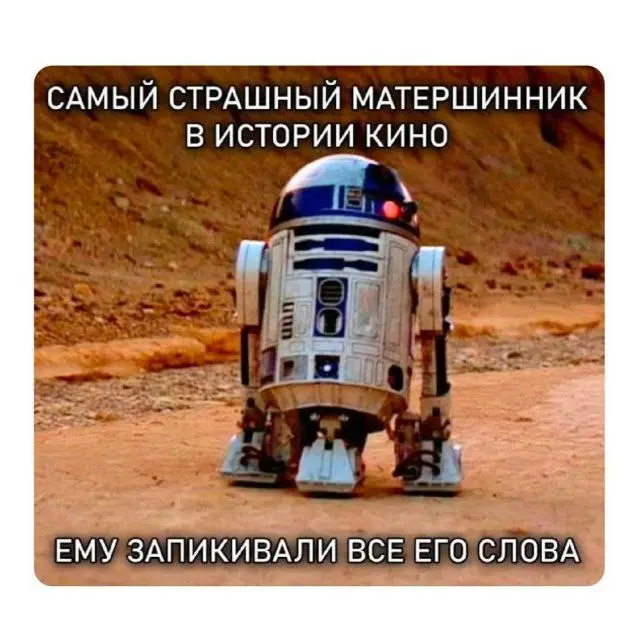 А как себя ведут ваши коты? У вас же надеюсь коты?! | Сетка — социальная сеть от hh.ru