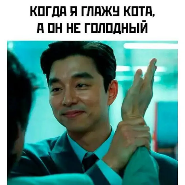 А как себя ведут ваши коты? У вас же надеюсь коты?! | Сетка — социальная сеть от hh.ru