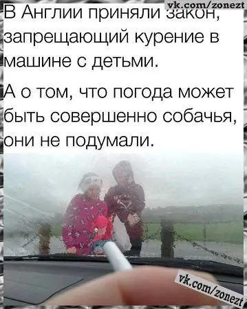 А как себя ведут ваши коты? У вас же надеюсь коты?! | Сетка — социальная сеть от hh.ru