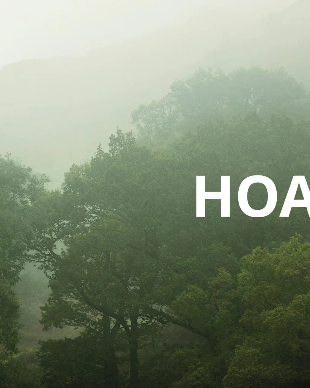 HOA HOA HOA. IKEA мощно обыграла знаменитую вступительную музыкальную тему "Сумерек". Лучшего анонса для осенней коллекции вещей придумать невозможно | Сетка — социальная сеть от hh.ru