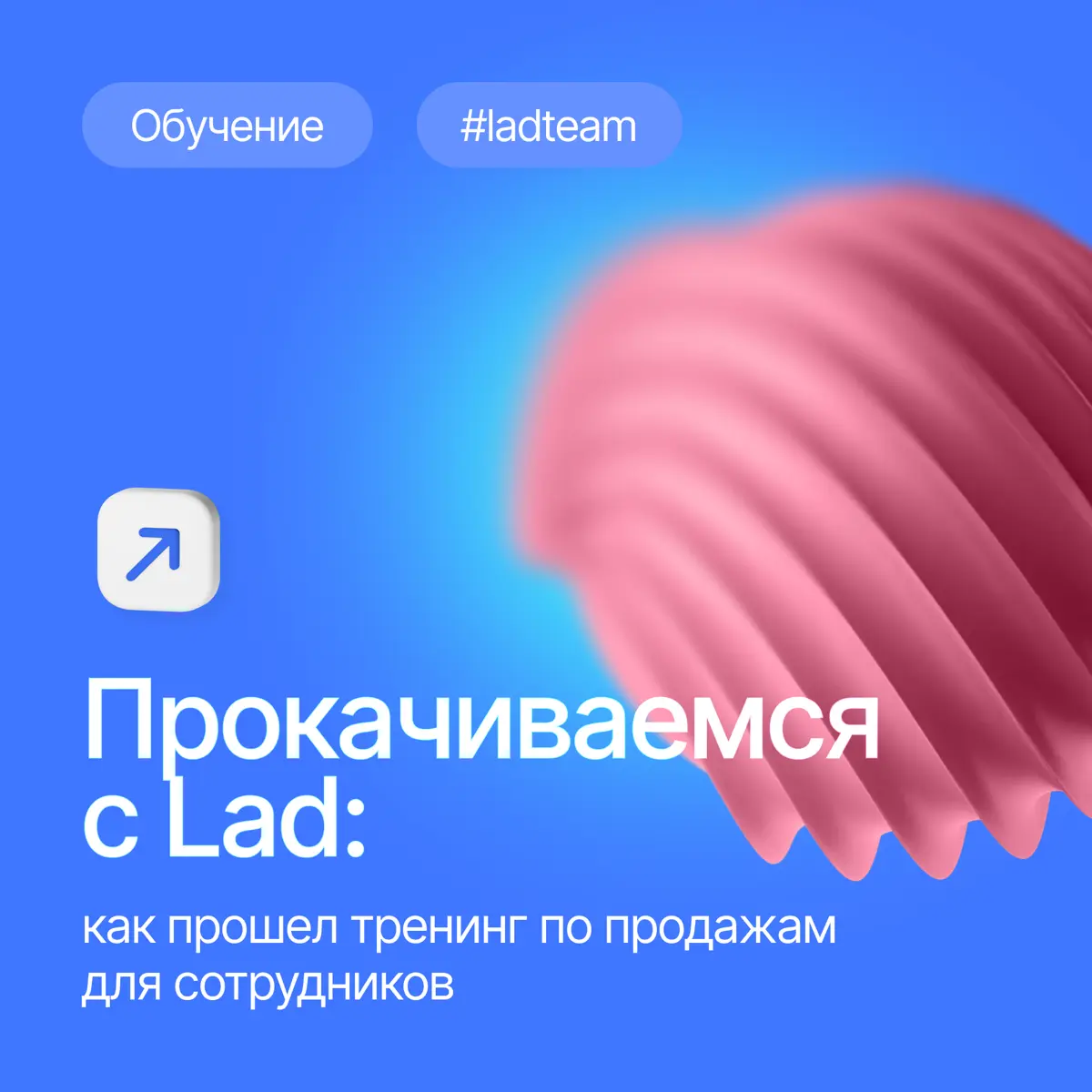 Учимся, растем, побеждаем — вместе с Lad!🚀 | Сетка — социальная сеть от hh.ru