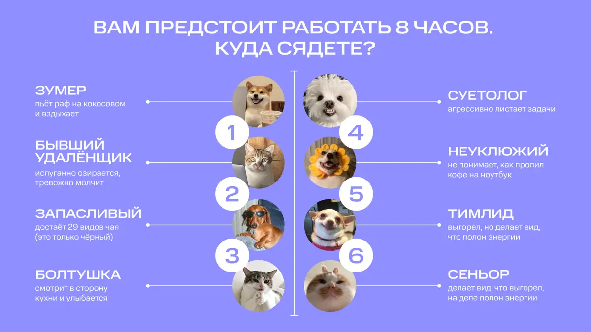 В любой команде есть они 🤪 | Сетка — социальная сеть от hh.ru