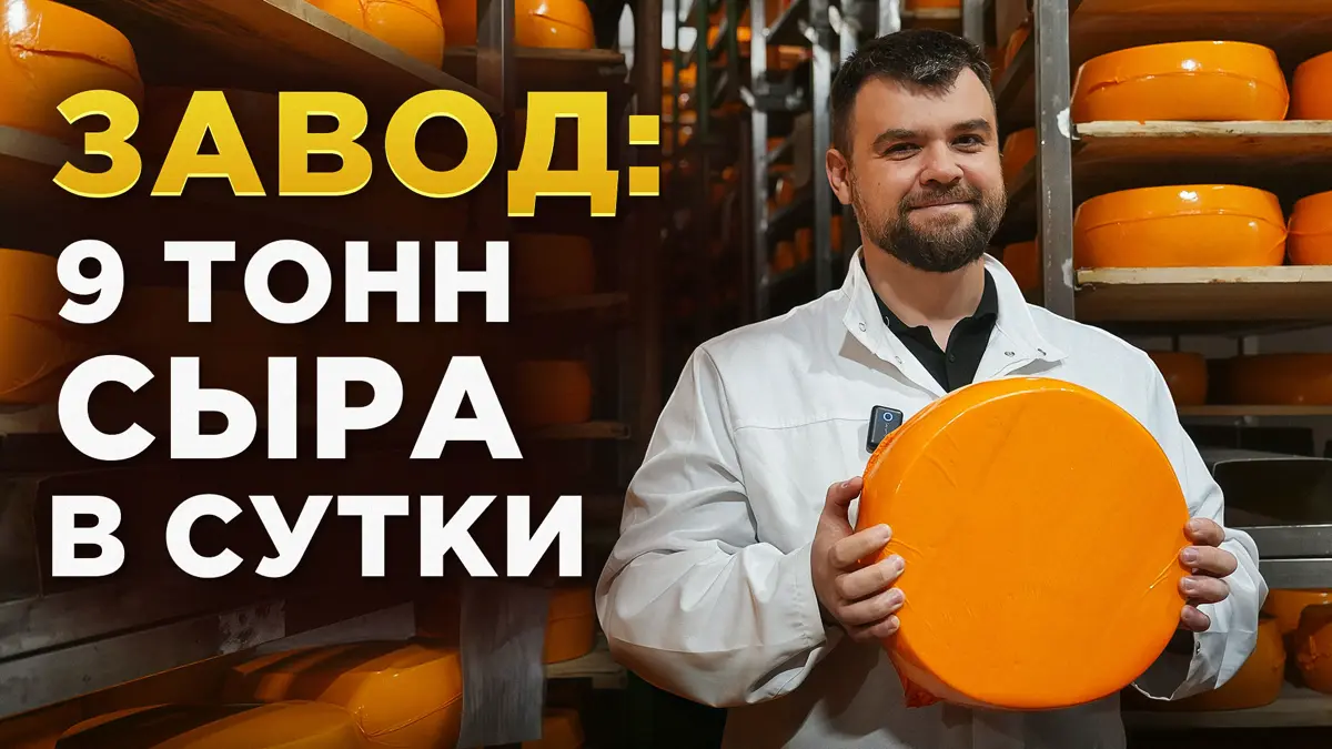 Как делают СЫР на заводе в России от фермы до стола – Углич | Сетка — социальная сеть от hh.ru