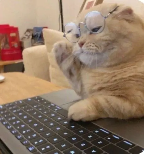 Ваша IT-команда работает как часовой механизм? Моя — да. | Сетка — социальная сеть от hh.ru