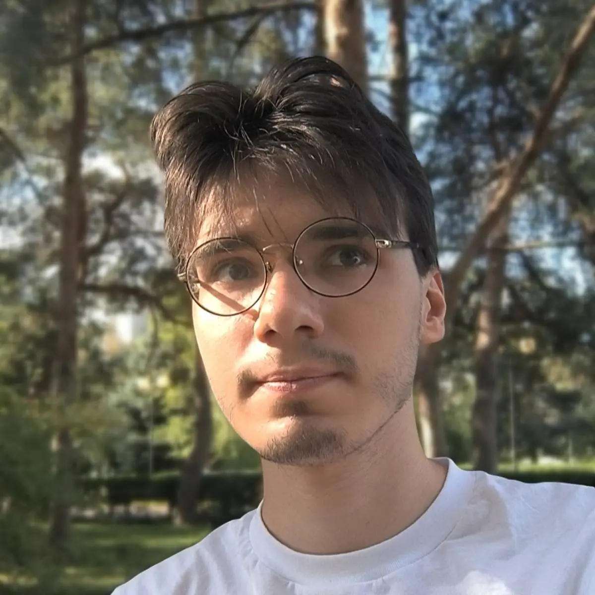 Родион Бурбин