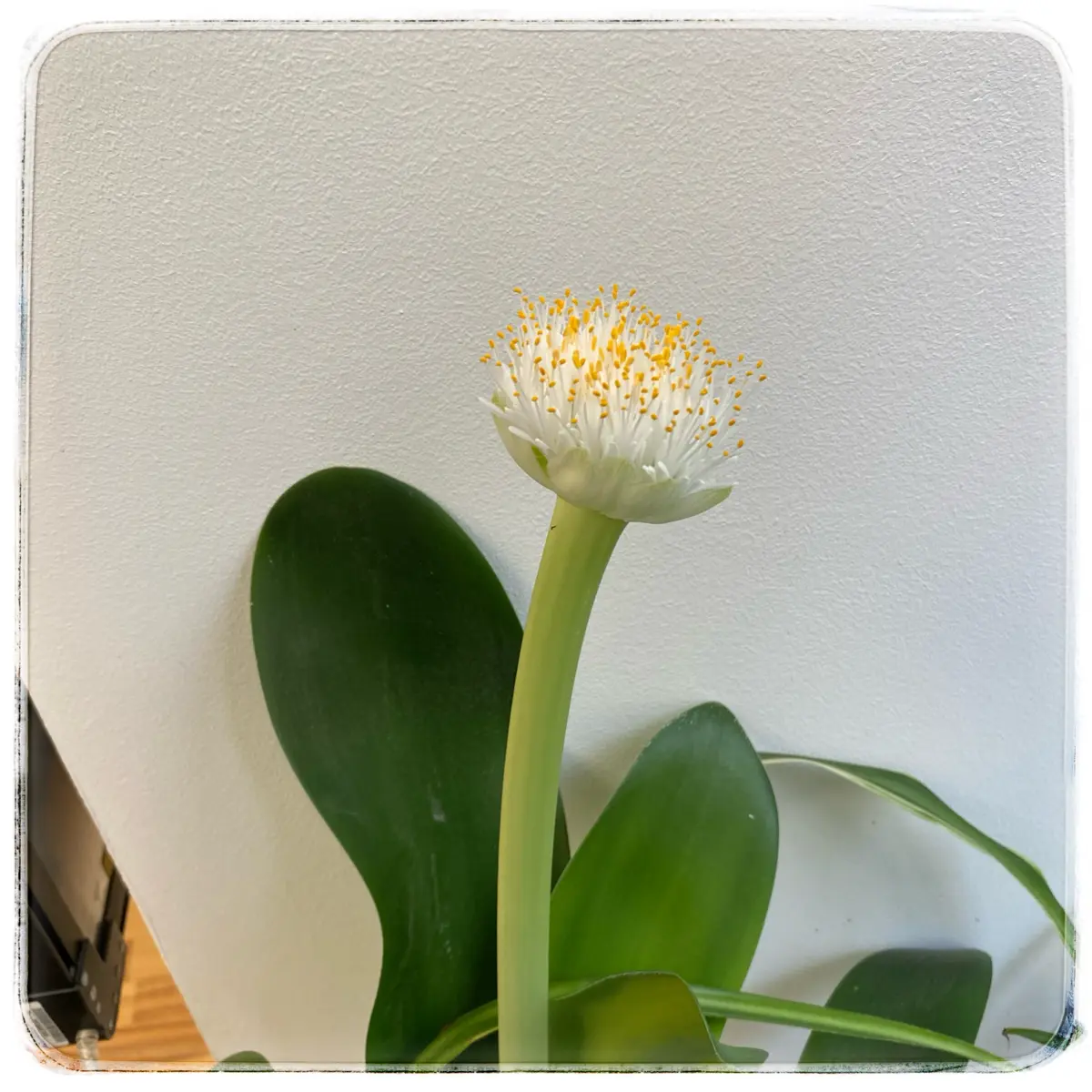 Про консультантов в магазинах | Сетка — социальная сеть от hh.ru