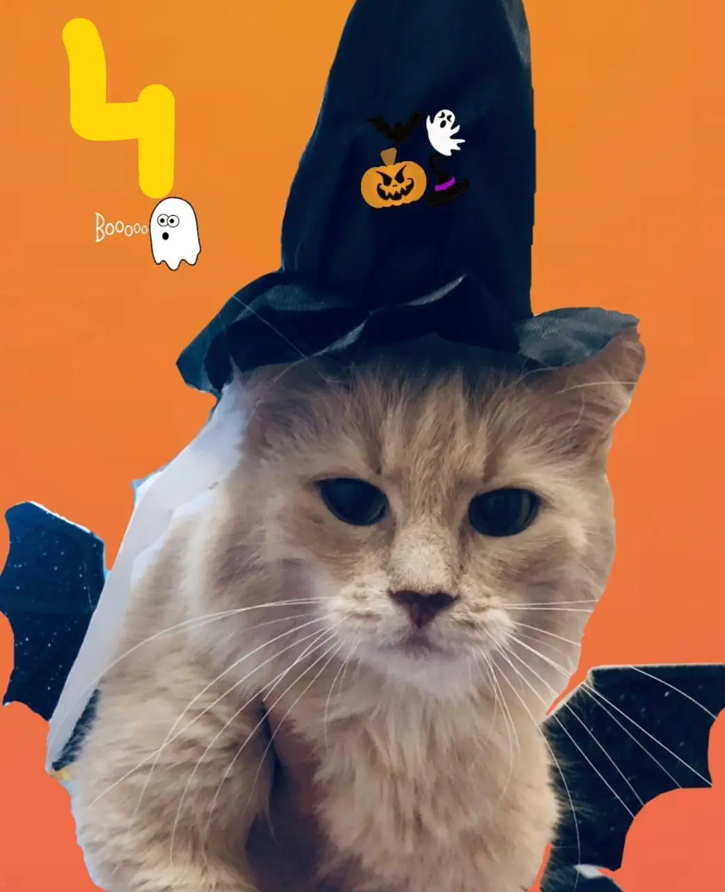 🎃 Голосование открыто!
👻 Все наши пушистики — ужасно прекрасны, но выбрать всё же нужно 🐾 Кому достанется титул самого милого монстра Хэллоуина и подарочная карта от магазина «Четыре лапы»?!
Смотрите ... | Сетка — социальная сеть от hh.ru