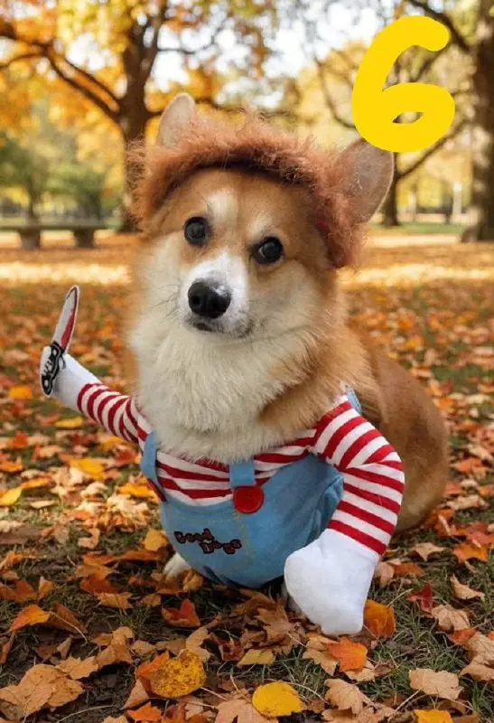🎃 Голосование открыто!
👻 Все наши пушистики — ужасно прекрасны, но выбрать всё же нужно 🐾 Кому достанется титул самого милого монстра Хэллоуина и подарочная карта от магазина «Четыре лапы»?!
Смотрите ... | Сетка — социальная сеть от hh.ru